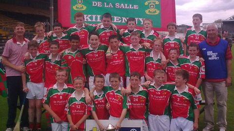 St. Patrick’s De La Salle regain Educational Supplies Roinn A hurling league title