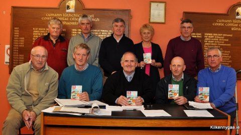 Hurler’s Co-Op Draw Launched