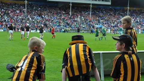 All Ireland Quarter Final 2012 – Kilkenny v Limerick