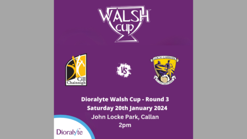 Dioralyte Walsh Cup SH 2024 – Kilkenny v Wexford