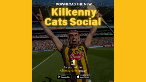 Important update for all Kilkenny Cats App Members