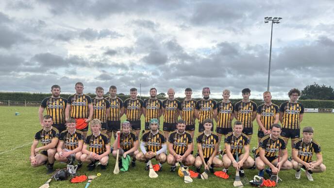 Junior Hurling A to F Championship Update