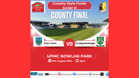 Country Style Foods Junior D County Final