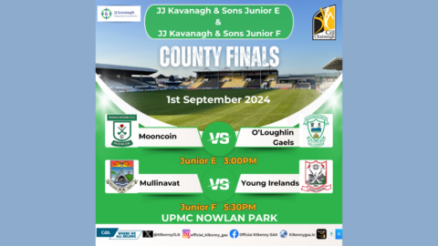 JJ Kavanagh & Sons Junior E & Junior F County Finals