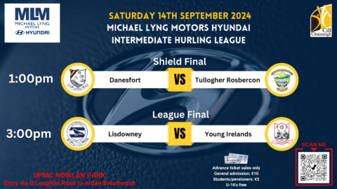 Michael Lyng Motors Hyundai Intermediate Hurling League & Shield Finals