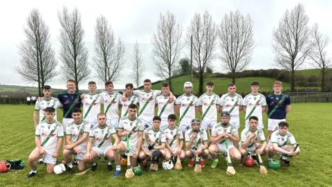 JJ Kavanagh & Sons County Under 21C  Final – Tullaroan 3-9; Dicksboro 0-12