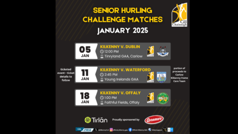 Senior Hurling Challenge Matches