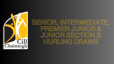 St Canice’s Credit Union Senior, Michael Lyng Motors Hyundai Intermediate & JJ Kavanagh Junior Hurling Draws